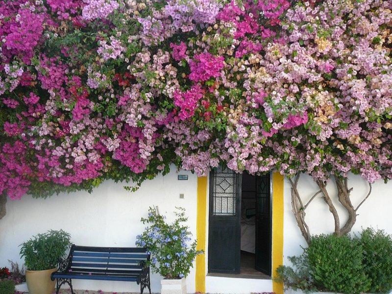 Rio Arade Algarve Manor House Hotel Estombar Exterior photo