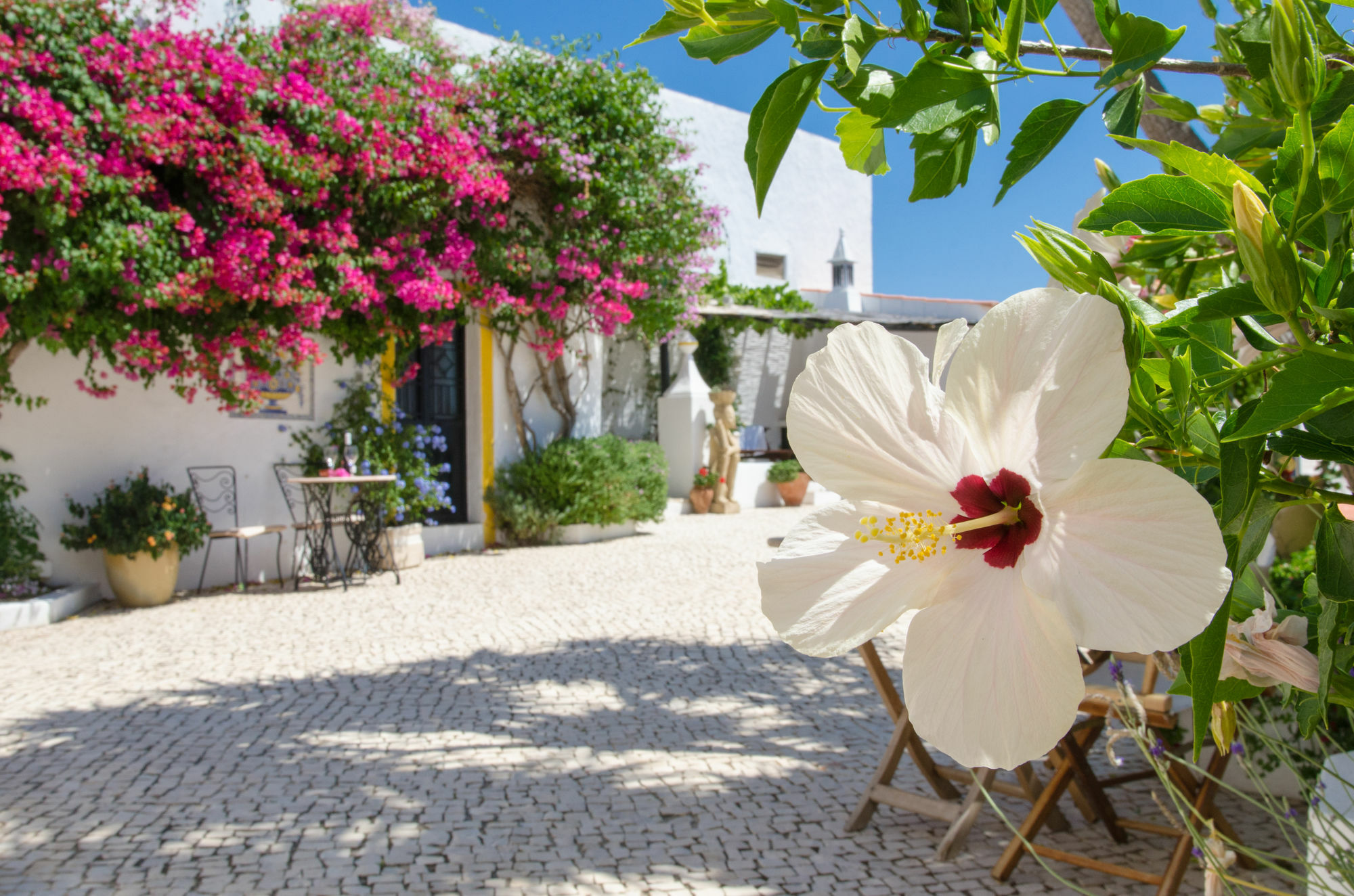 Rio Arade Algarve Manor House Hotel Estombar Exterior photo